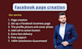create a professional facebook page with full setup