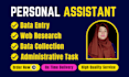 be your virtual assistant for excel data entry, web research and data collection