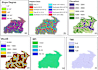 perform geospatial analysis and mapping using gis tools