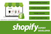 create shoppify store and dropshipping store