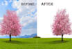 professionally remove and edit photo background