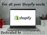 customize your shopify theme and store
