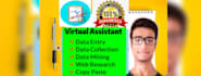 do perfect data entry, web research, data mining and copy paste in one day