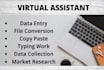 be your virtual assistant for copy paste and web research