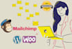 set up mailchimp automation campaign and newsletter