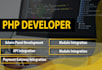 fix or develop PHP, laravel, vue, js, and react applications