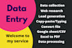 do exact data entry, web research, copy paste and excel work