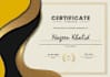 design professional diploma, award certificate