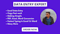 do accurate data entry copy paste, data entry using excel