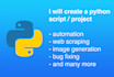 do your python project or script