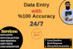 do fast data entry, excel data entry, typing and copy paste