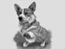 do a custom pet portrait in caricature style