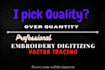 do embroidery digitizing in professionally standard