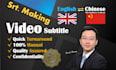 professionally translate video subtitles or scripts  srt