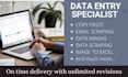 do excel data entry, copy paste, data and email scraping