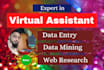be your professional personal virtual assistant