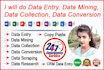 do data entry, data mining, data collection, data conversion