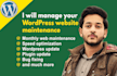 provide wordpress maintenance and fix your wordpress website issues