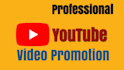 do top professional youtube video promotion