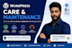 do monthly wordpress website maintenance