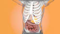 do 3d medical animation for a product or procedure