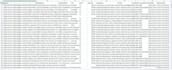 scrape yellow pages emails included