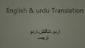 am a professionally all language translation