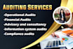provide internal audit, due diligence , forensic audit services