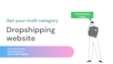 make dropshipping website design