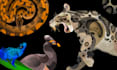 create an exotic animal or pet illustration for you