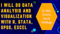 do data analysis, visualization using r, stata, spss, excel