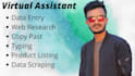 data entry data collection copy paste web research