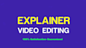 produce a professional explainer video with voiceover