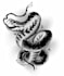create a unique neo traditional tattoo style