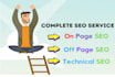 get monthly SEO service onpage offpage and technical optimization