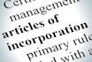 write your articles of incorporation for your USA business