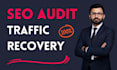 do SEO audit for organic traffic recovery of website hit from google update