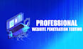 conduct penetration testing and vulnerability assessment