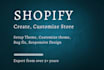 develop a shopify store and fix shopify bugs