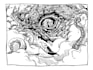 do detailed unique bw illustration, custom drawing, tattoo, merch, book design