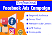 setup and manage your facebook ads campaign