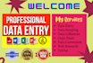 do fast data entry, web research and lead generation