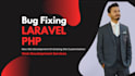 fix bugs, develop or customize laravel php website