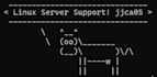 support with linux,vps,web,dns,email servers