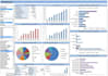 do data analyst, excel dashboard and data visualization