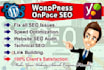 do complete onpage seo and technical optimization of your website