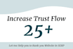 increase your majestic trust flow with seo backlinks