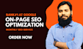 do monthly SEO service package, onpage and manual backlinks