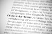 professionally translate your text from english to other language