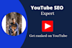 do experts youtube seo